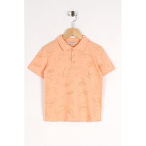 zepkids Chlapecké tričko s límečkem lososové barvy s potiskem dinosaurů obraz