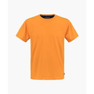 Pánské tričko s krátkým rukávem ATLANTIC - oranžové obraz