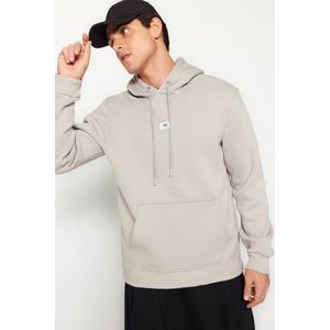 Trendyol Gray Regular/Regular Fit Hooded Long Sleeve Sweatshirt obraz