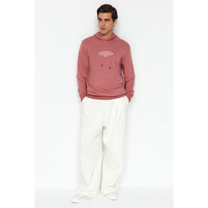 Trendyol Pale Pink Regular/Normal Fit Text Printed Hooded Sweatshirt obraz