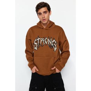 Trendyol Light Brown Oversize/Wide-Cut Fleece Embroidered Text Sweatshirt obraz