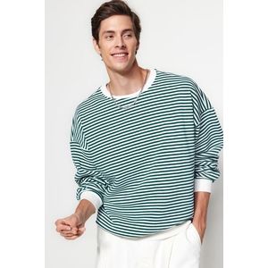 Trendyol Green Oversize/Wide Cut Striped Cotton Sweatshirt with Fleece Inside obraz