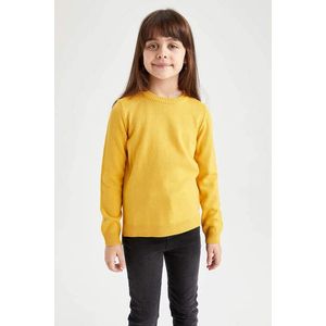DEFACTO Dívčí svetr s kulatým výstřihem a běžným střihem obraz