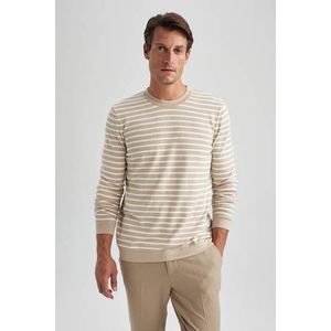 DEFACTO Standardní střih pulovr s kulatým výstřihem obraz