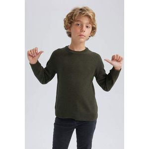DEFACTO Chlapecký svetr s kulatým výstřihem, běžný střih obraz