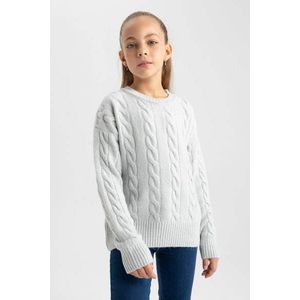 DEFACTO Dívčí pravidelný střih svetr s kulatým výstřihem obraz