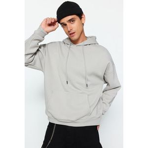 Trendyol Limited Edition Gray Oversize/Wide Cut Embroidered Fleece Hooded Sweatshirt obraz