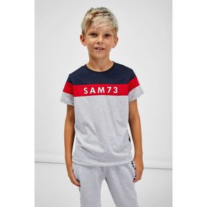SAM73 Chlapecké triko Kallan - Dětské obraz