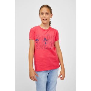 SAM73 Dívčí triko Ielenia - Dětské obraz