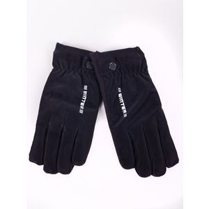 Yoclub Man's Men's Gloves RES-0164F-345C obraz