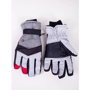 Yoclub Man's Men's Winter Ski Gloves REN-0306F-A150 obraz