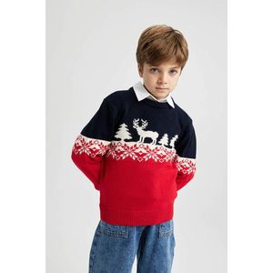 DEFACTO chlapecký pulovr s pravidelným střihem a kulatým výstřihem obraz