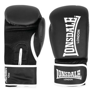 Lonsdale boxerské rukavice z umělé kůže obraz