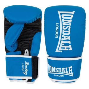 Lonsdale Artificial leather boxing bag gloves obraz