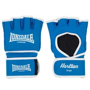 Lonsdale Artificial leather MMA sparring gloves obraz