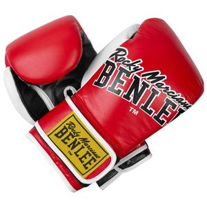 Lonsdale Leather boxing gloves obraz