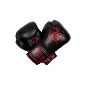 Lonsdale Leather sparring boxing gloves obraz