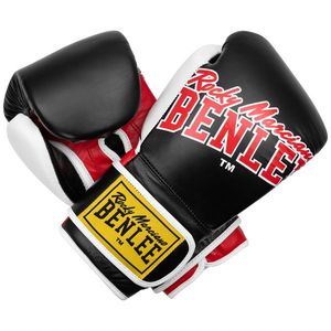Lonsdale Leather boxing gloves obraz