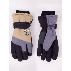 Yoclub Man's Men'S Winter Ski Gloves REN-0302F-A150 obraz