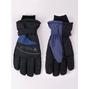Yoclub Man's Men'S Winter Ski Gloves REN-0305F-A150 obraz