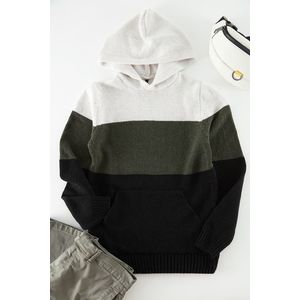 Trendyol Khaki Regular Fit Hooded Color Block Knitwear Sweater obraz