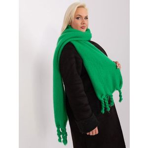 Zelený hladký zimní šátek obraz