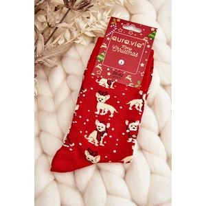 Pánské vánoční bavlněné ponožky s červenými soby obraz