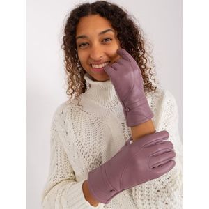 Fialové elegantní dotykové rukavice obraz