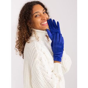 Kobaltově modré elegantní zimní rukavice obraz
