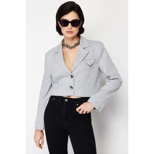 Trendyol Gray Polyviscon Striped Crop Premium Woven Blazer Jacket obraz