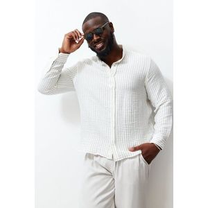Trendyol Ecru Regular Fit Striped 100% Cotton Crease Effect Plus Size Shirt obraz