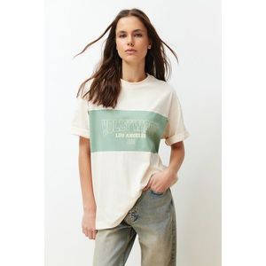 Trendyol Stone 100% Cotton Color Blocked City Printed Oversize/Wide Cut Knitted T-Shirt obraz