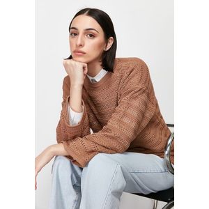 Trendyol Brown Openwork/Perforated Knitwear Sweater obraz