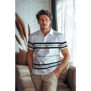 Trendyol Regular/Regular Fit Short Sleeve Striped Pique Labeled Buttoned Polo Neck T-Shirt obraz