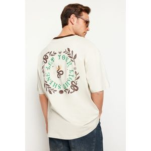 Trendyol Stone Oversize/Wide-Fit Mystic Printed Contrast Collar Rib 100% Cotton T-Shirt obraz