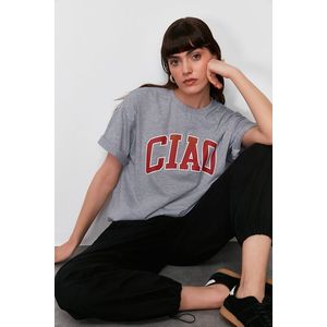 Trendyol Gray Melange 100% Cotton Slogan Printed Oversize/Wide-Fit Knitted T-Shirt obraz