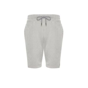 Trendyol Gray Striped Regular/Normal Fit Shorts obraz