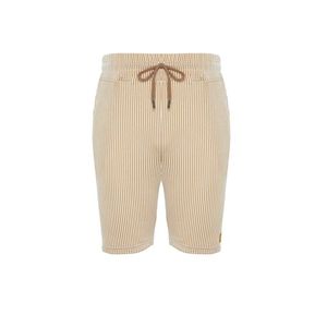 Trendyol Beige Striped Regular/Regular Fit Shorts obraz