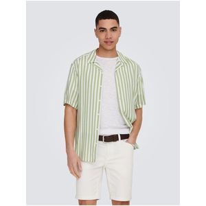 Bílo-zelená pánská pruhovaná košile s krátkým rukávem ONLY & SONS W - Pánské obraz