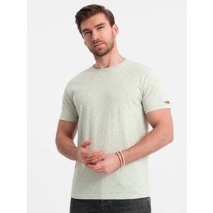 Ombre Men's full-print t-shirt with colorful letters - light green obraz