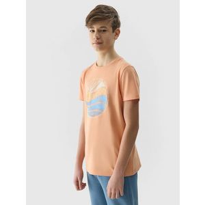 Chlapecké tričko regular s potiskem 4F - korálové obraz