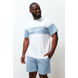 Trendyol Blue and white Color Block Regular Fit Printed Large Size Shorts Pajamas Set obraz