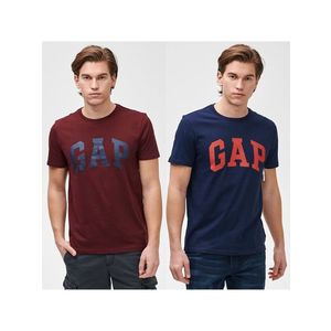 Barevné pánské tričko GAP Logo basic arch, 2ks obraz