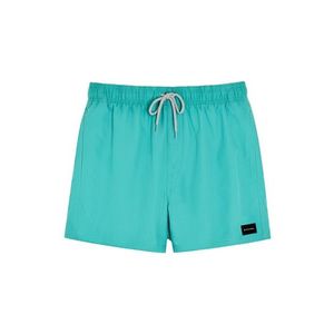 Plavky Rip Curl OFFSET VOLLEY Teal obraz