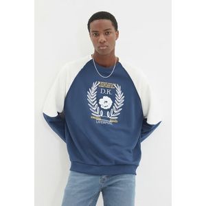 Trendyol Indigo Oversize/Wide-Fit Raglan Sleeve Color Block Printed Cotton Sweatshirt obraz