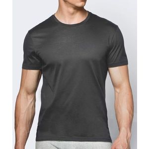 Pánské tričko s krátkým rukávem ATLANTIC - tmavě šedé obraz