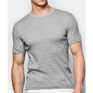 Pánské tričko s krátkým rukávem ATLANTIC - světle šedé obraz