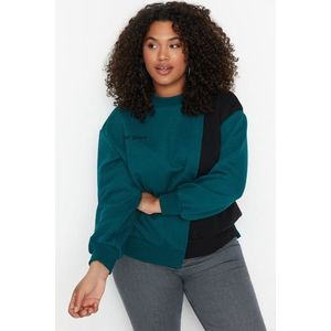 Trendyol Curve Petrol Color Blocked Thick Printed Knitted Sweatshirt obraz