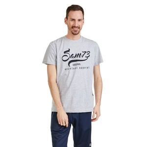 Šedé pánské žíhané tričko SAM 73 Calvin obraz