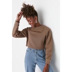 Trendyol Stone Loose Crop Collar Detailed Thin, Fleece Inside Knitted Sweatshirt obraz